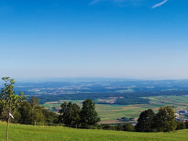 Abendessen im Bergrestaurant Rogge