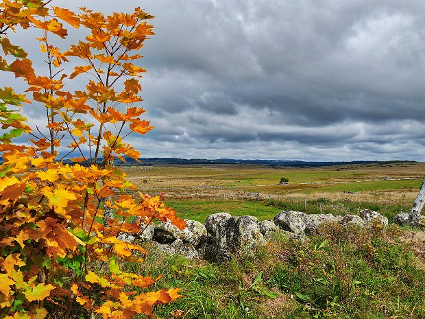 13) Landschaften