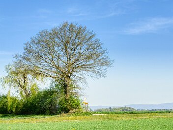 Around our village